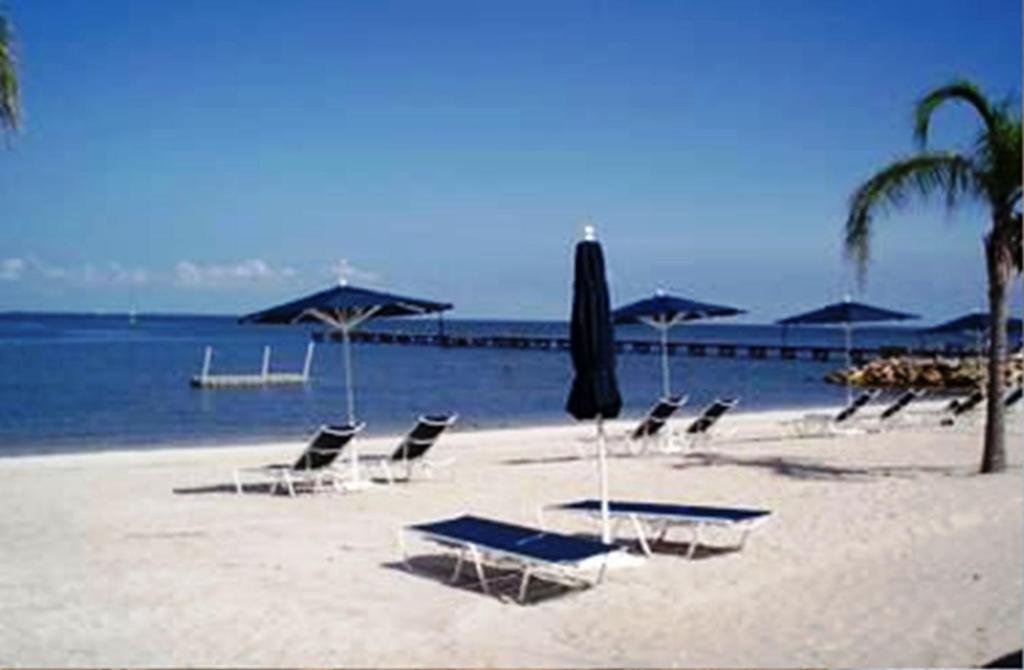 Harborside Suites At Little Harbor Ruskin Luaran gambar